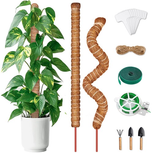 Kokos pflanzstab 64cm - kokos,