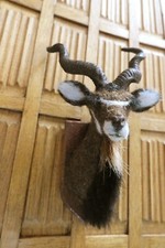 2 Maßstab 1:12 für