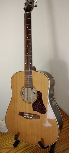 Westergitarre seagull - westergitarre,