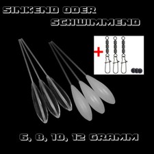 Sbirolino Bombarde schwimmend/
