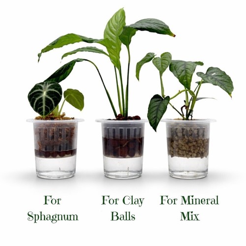 Hydroponik starter topf - hydroponik, |