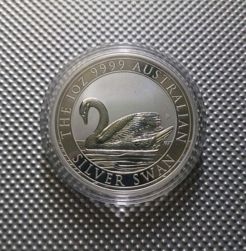 Australian swan 2017 - swan, 1