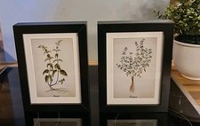2 x IKEA Ribba Bilder-Rahmen schwarz mit Passepartout und Kräuter Bild Deko