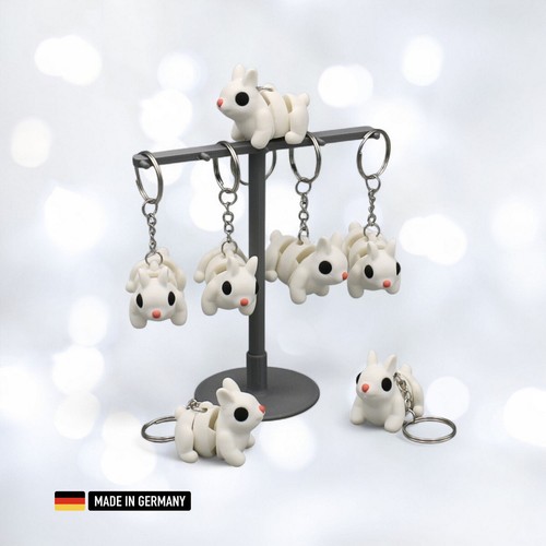 Weißer hase - weißer,