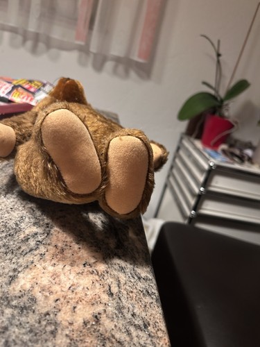 Antiker steiff teddybär 1950 - antiker,
