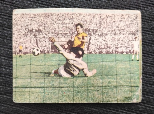 Sicker bild 257 borussia - sicker,