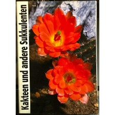 Kakteen und andere Sukkulenten