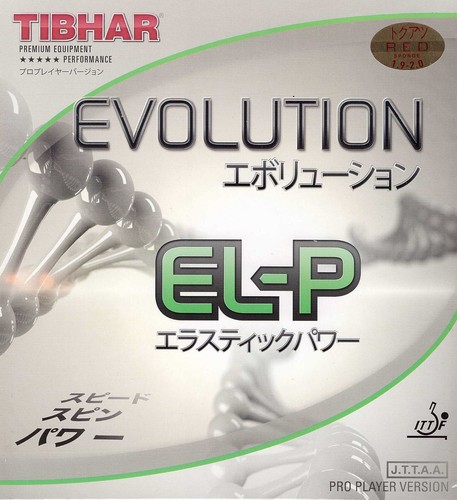 Tibhar evolution p - evolution, el-p
