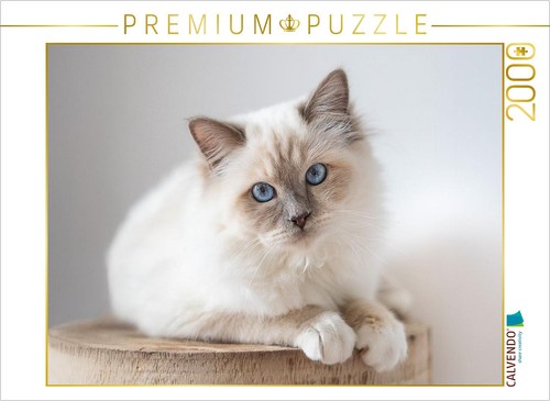Calvendo puzzle heilige - calvendo,
