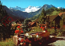 Ak:;Schmucker Brunnentrog Bei Adelboden Steghorn,Wildstrubel,Fitzer