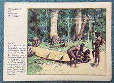 Natur-Bilder + Berliner Morgenpost + Sammelkarten + 1933+Bild  8 /2504