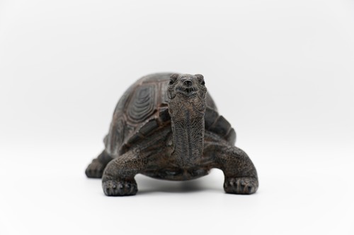 Dekofigur schildkröte turtle - dekofigur,