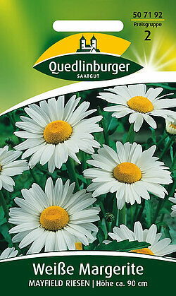 Sommerblumen mehrjährig - sommerblumen,