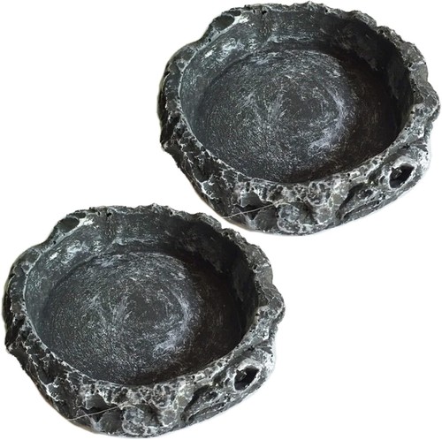 Reptilien näpfe 2er - näpfe, set