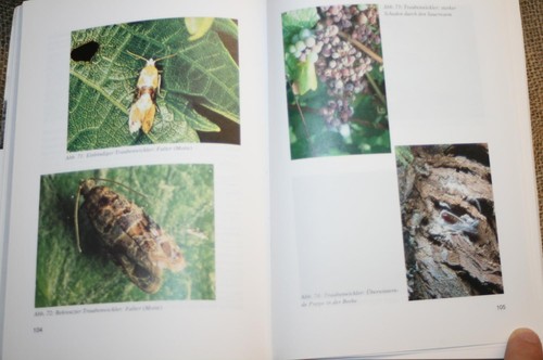 Fachbuch weinbau rebschutz - fachbuch,
