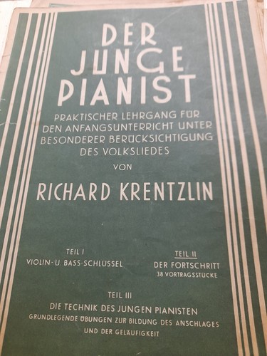 Der junge pianist - junge,