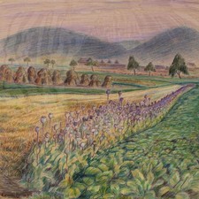 Martin Krauß Landschaft Feld