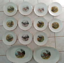 Mitterteich Bavaria Jagd