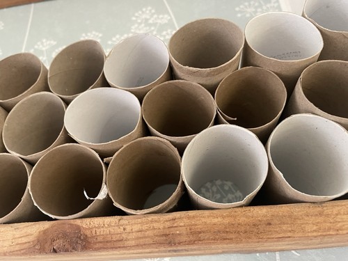 150 leere klopapierrollen - 150,