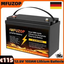 12V 100Ah LiFePo4 Akku Lithium