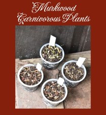 Darlingtonia californica COBRA