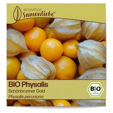BIO Physalis Samen