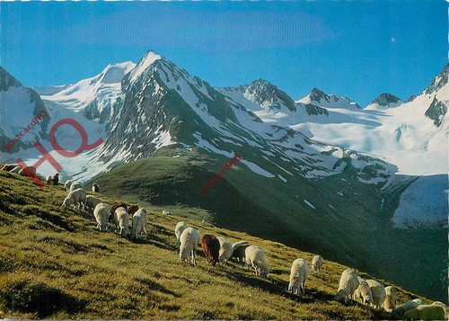 Ansichtskarte tiroler - ansichtskarte_,