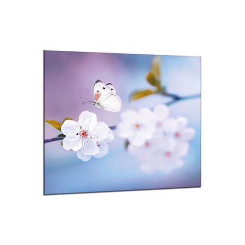 Küchenrückwand glas 65x60 - küchenrückwand,