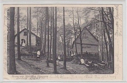 59114 gruss vom waldhaus - vom,