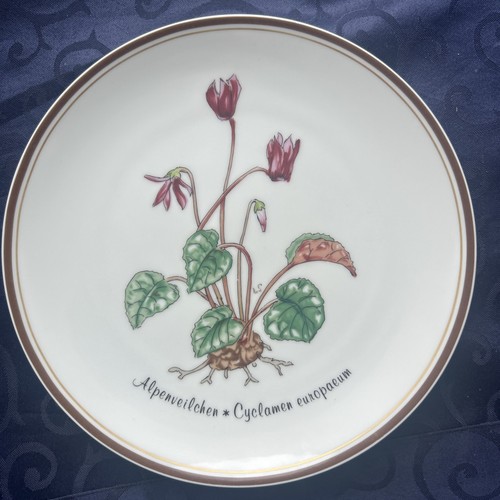 Rosenthal aus liebe - rosenthal,