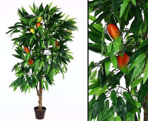 Mangobaum künsrlich mit