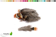 20 Fasanenfedern 4-6cm Vogelfedern Bastelfedern Schmuckfedern Deko Federn Fasan