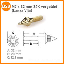 Felgenschrauben Muttern Stecknüsse Zierschrauben Zierstopfen Felgenpflege