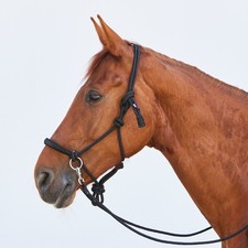 Kieffer Knotenhalfter Ruby -