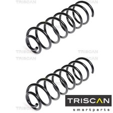 2x Fahrwerksfeder TRISCAN