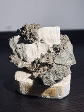 Markasit auf Kalkstein – funkelnde Kristallstufe – Sammlungsauflösung