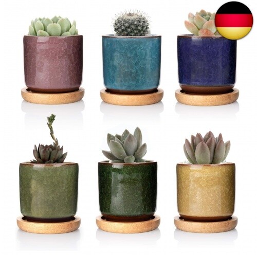 3cm keramik sukkulenten - keramik,