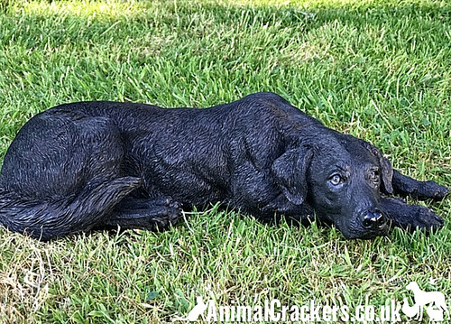 Labrador ornament denkmal - labrador,