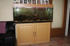 Aquarium komplett mit Unterschrank gebraucht