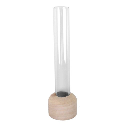 Reagenzglas vase mit - reagenzglas,