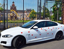 Auswahlangebot! Magnetfolie