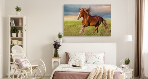 Canvas leinwand bilder xxl - leinwand,