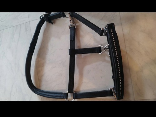 Shetty halfter glitzer - s,