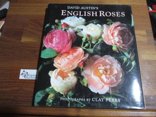 David austin english roses - david,