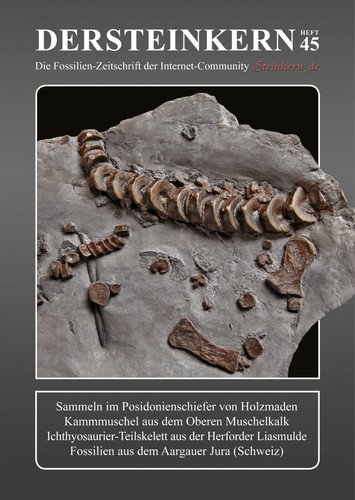 Der steinkern holzmaden - der,