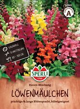 Löwenmäulchen Riesen Mischung Schnittblume Stauden Blumen  ca. 60  Samen   85901