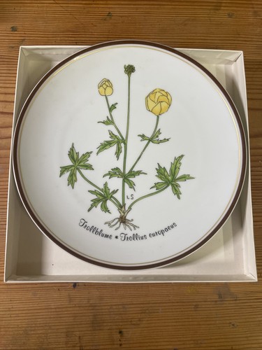 Trollblume rosenthal porzellan - trollblume,