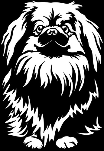 Pekinese aufkleber - pekinese,