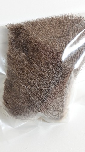 Chamois hair bindematerial - hair, /