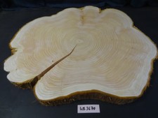 Mammutbaum Scheibe,Baumstamm,Drechselholz,Tischplatte,Bohle,68x62x3,5cm,3670